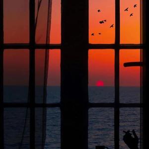 昆延夫夫拍的片子网页
